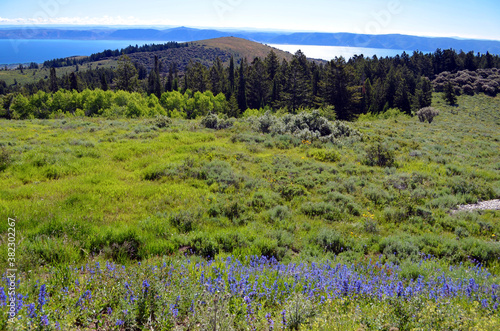 Utah - Bear Lake