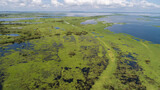 Aerial view panorama of Magdalena River landscape on a sunny day