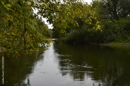 reflection of trees in the water © Віталій Віжанський