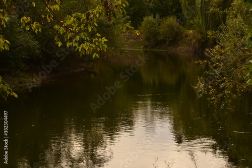 reflections in the water