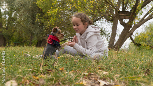 
child in the park plays with a dog. girl and dog for a walk
