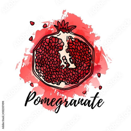 illustration of pomegranate fruit. Vector watercolor splash background. Graphics for cocktails, fresh juice design. Natural organic food label.