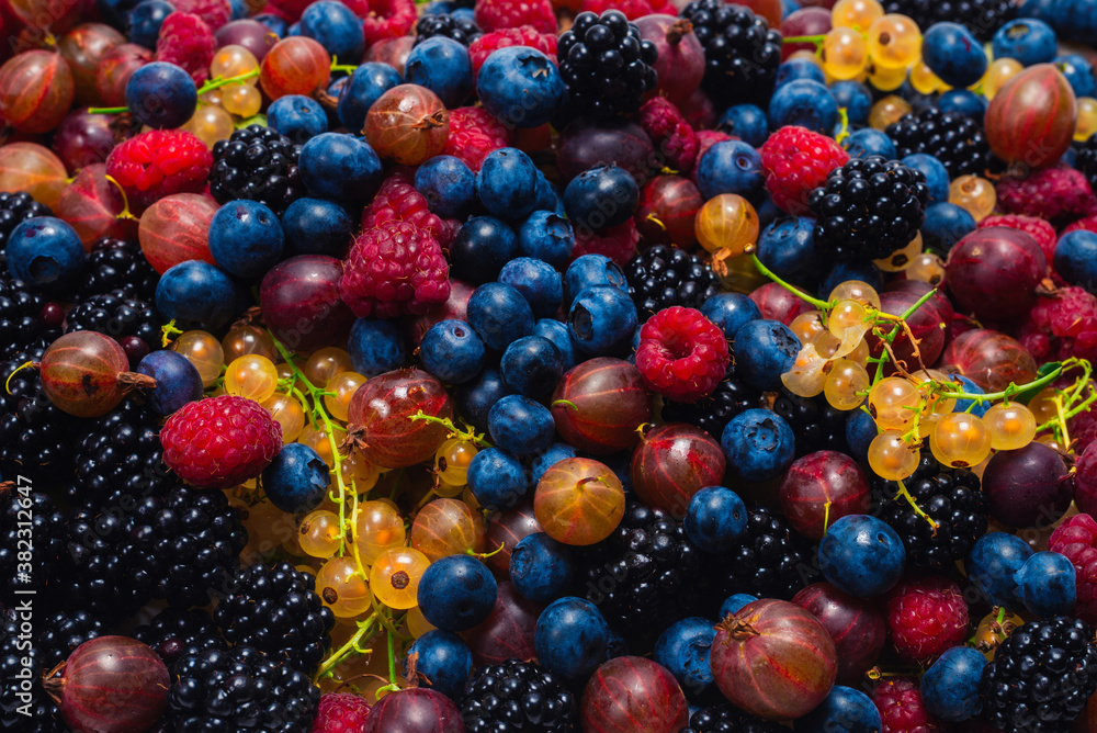 Gooseberries, blueberries, mulberry, raspberries, white and red currants isolated Gooseberries, blueberries, mulberry, raspberries, white and red currants isolated