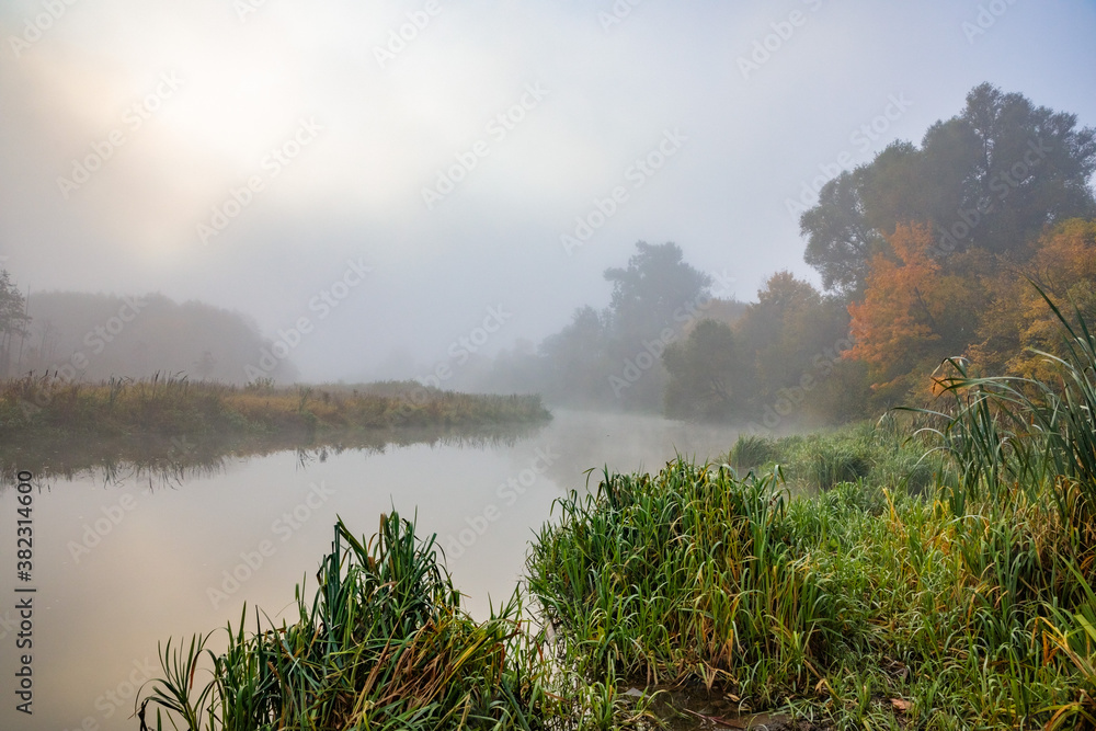 Foggy river in Minsk. In the middle of autumn! Bright colors of foliage colors! Green grass, yellow, orange and red foliage!