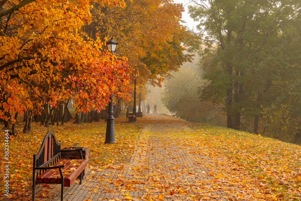 Oak Aley on an autumn day in Minsk! Fairy tale and beauty! Loshitsa Park in Minsk.