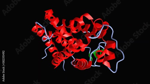 Animated model of the tertiary structure of human vitamin D receptor with the differently colored secondary structure elements, 3D cartoon model, black background photo