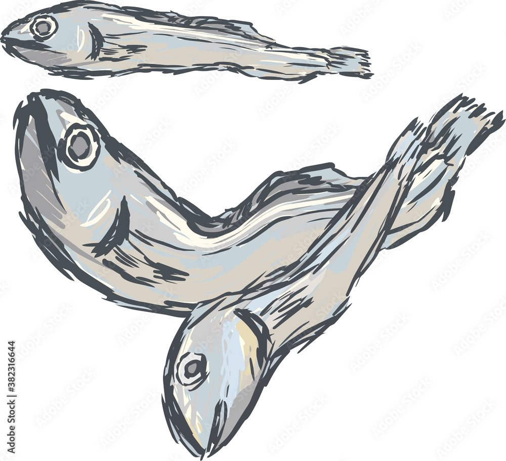 手書きで描いたシンプルな煮干しのイラスト Stock Vector Adobe Stock