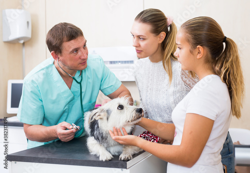 Worried family with dog at veterinarian clinic. High quality photo