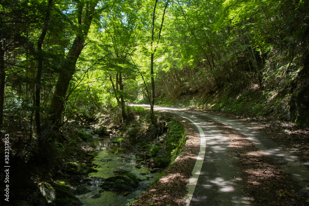 Obraz premium ガードレールのない川沿いの道路