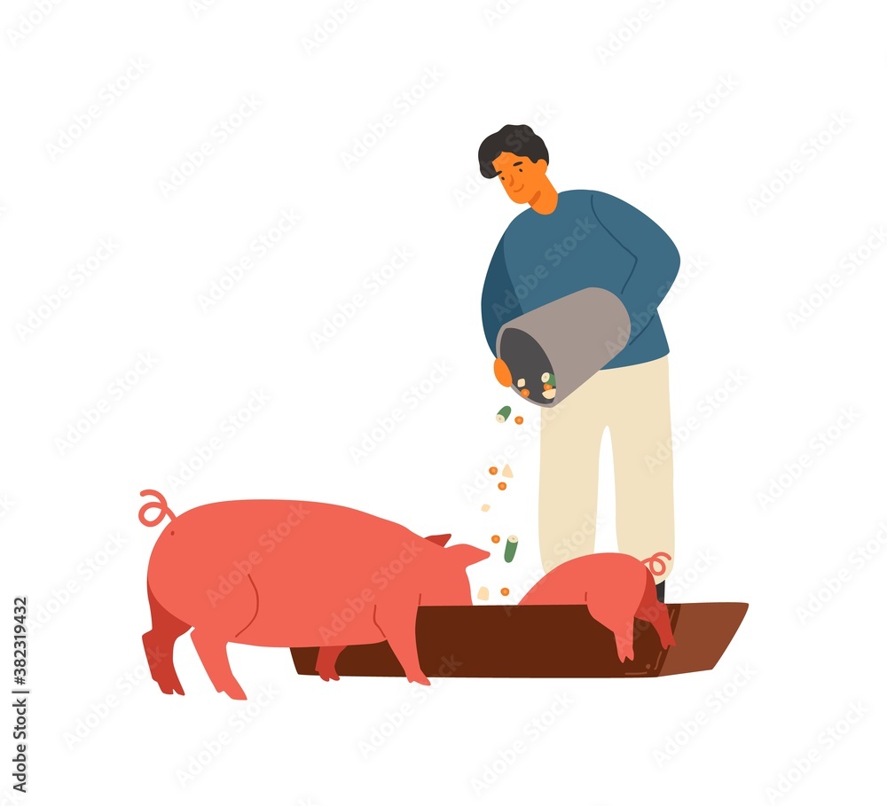 Farmer, rancher man feeding pig with vegetables. Piglet eating from ...