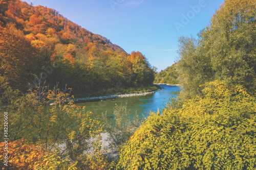 Mountain river on an autumn sunny day. Nature landscape. Carpathian Mountains, Ukraine