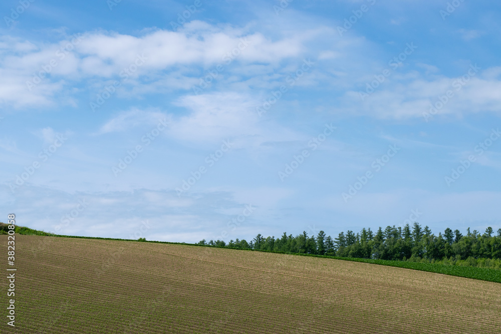 美瑛 丘の風景 美瑛 丘の風景