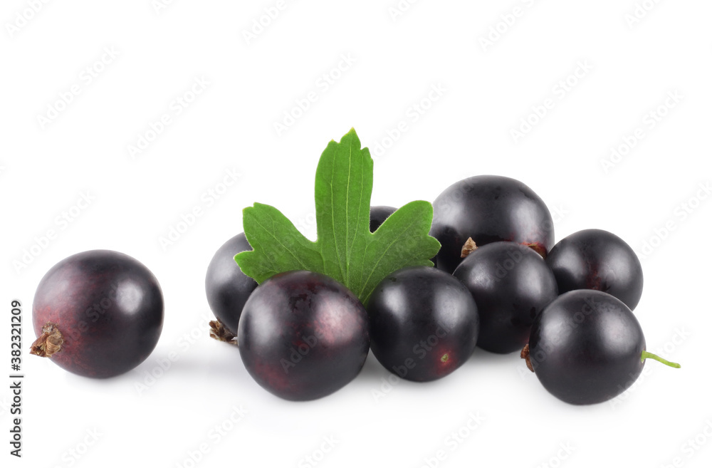 Currant berries isolated on white background Currant berries isolated on white background