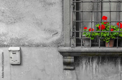 Gloomy waal with window and colorful flowers in front of window