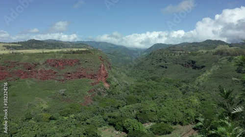 Hanapepe Valley Lookout in aerial drone reveal shot through trees. Beautiful colorful canyon mountain landscape famous tourist view point along the highway photo