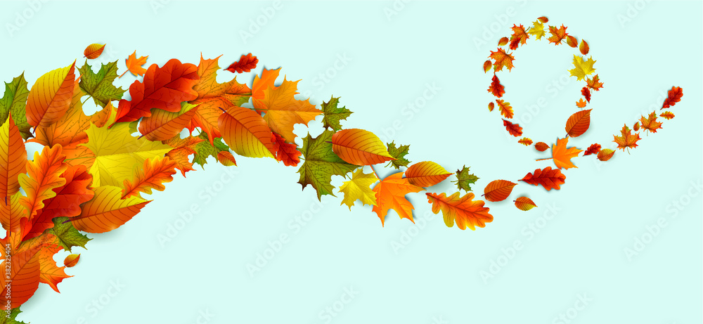 Greetings and gifts for the autumn and autumn season concept. Autumn background, poster and banner template with colorful autumn leaves. Greetings and gifts for the autumn and autumn season concept. Autumn background, poster and banner template with colorful autumn leaves.