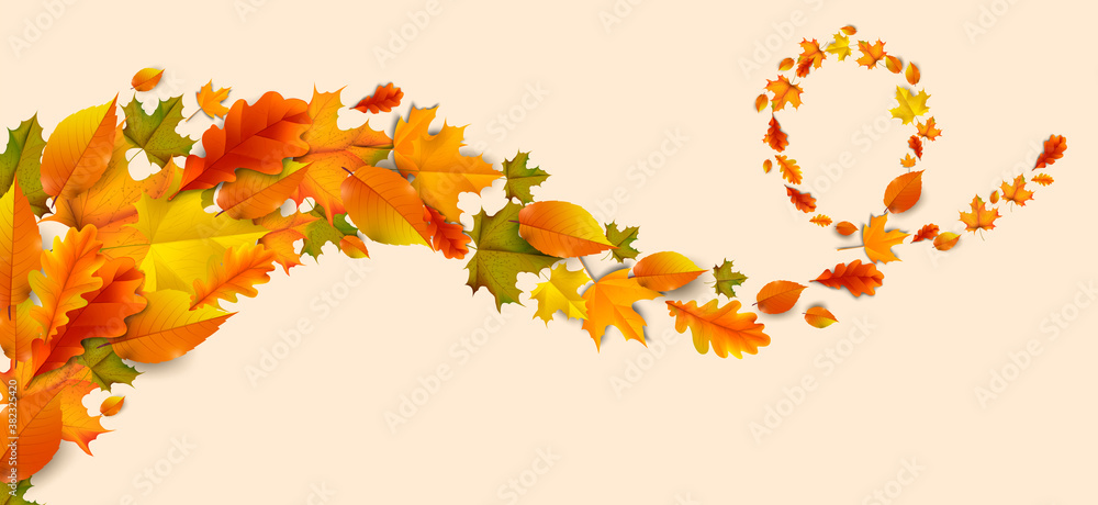 Greetings and gifts for the autumn and autumn season concept. Autumn background, poster and banner template with colorful autumn leaves. Greetings and gifts for the autumn and autumn season concept. Autumn background, poster and banner template with colorful autumn leaves.