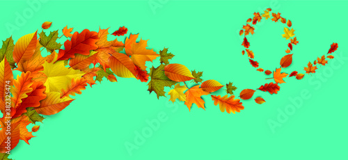 Greetings and gifts for the autumn and autumn season concept. Autumn background  poster and banner template with colorful autumn leaves.