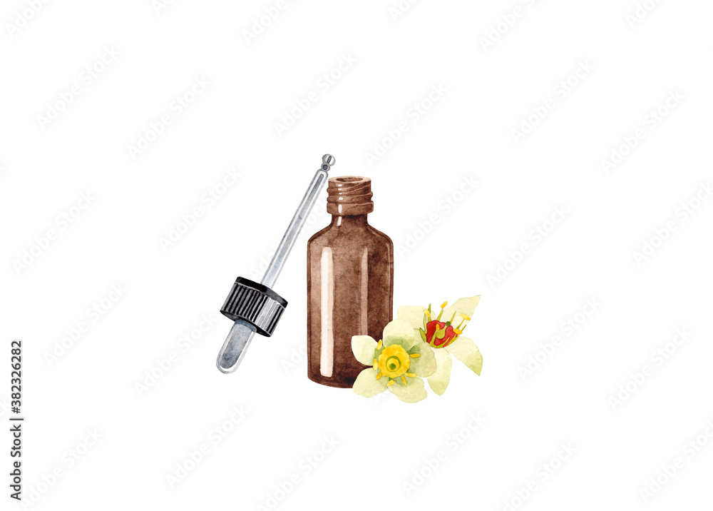frankincense. Hand drawn bottle of essential oil with flowers on a white background. Herbal medicine and aroma therapy. frankincense. Hand drawn bottle of essential oil with flowers on a white background. Herbal medicine and aroma therapy.