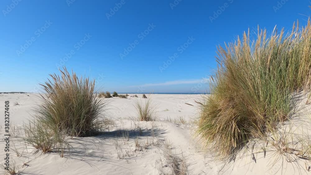 Sand dunes waving in the wind at Schiermonnikoog isle in the Netherlands with a butterfly flying around Sand dunes waving in the wind at Schiermonnikoog isle in the Netherlands with a butterfly flying around