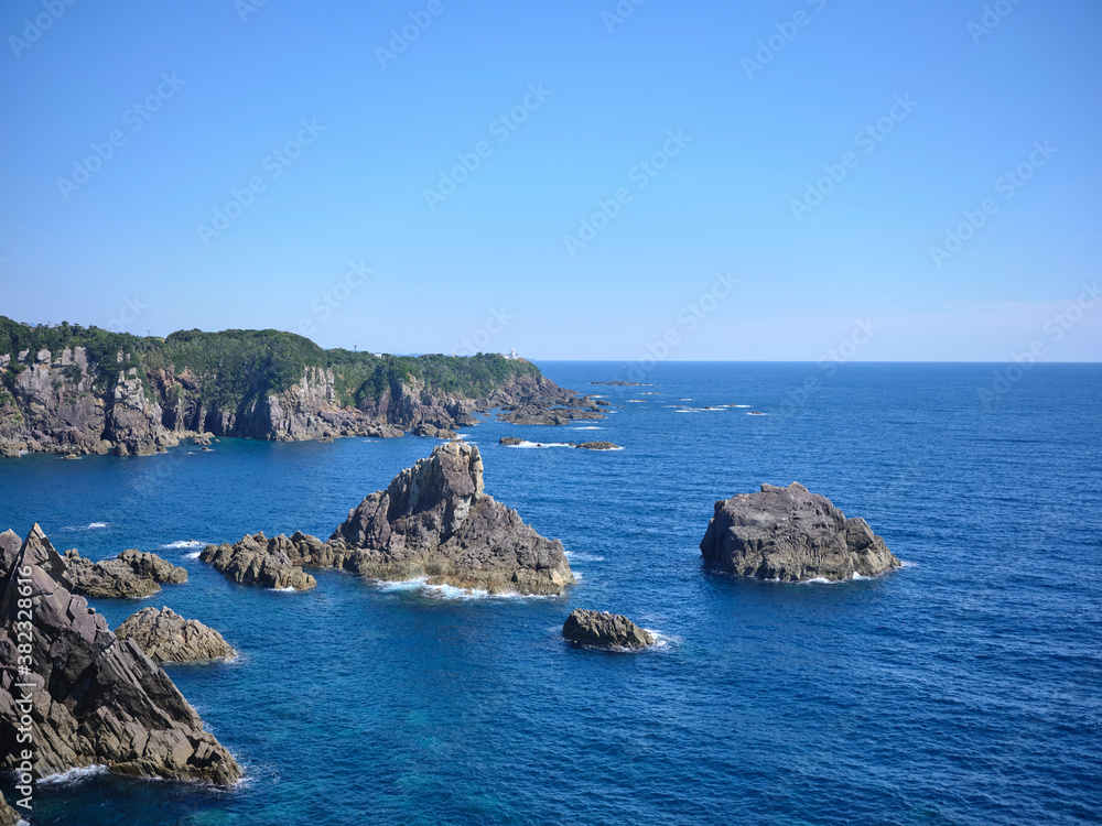 海金剛 海金剛