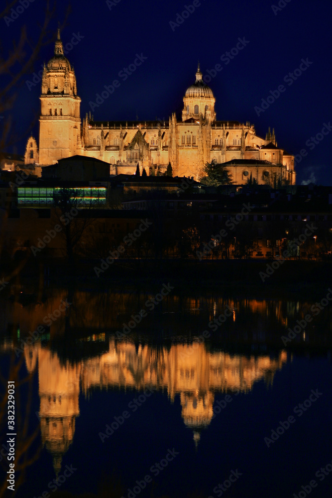 Catedral de Salamanca con reflejo en el río Tormes