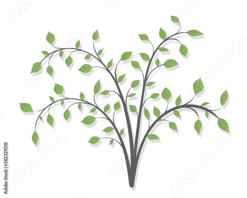 Illustration of a shrub plant with branches and green leaves on a white background