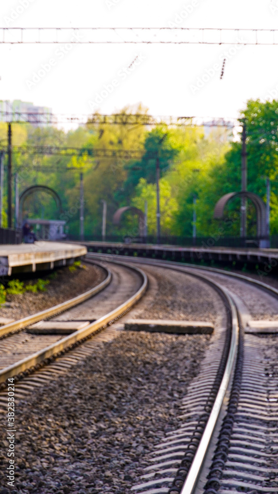 Obraz premium railroad tracks in the forest