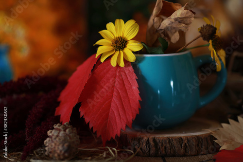 beautiful autumn still life with fallen leaves