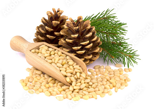 wooden scoop with pine nuts with branches and cones isolated on white