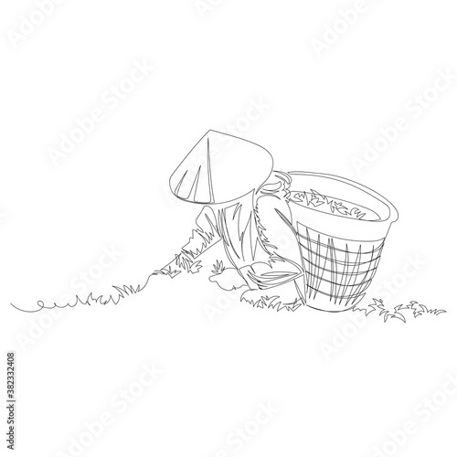 tea picker. vector contour image of a man on a tea plantation. one line