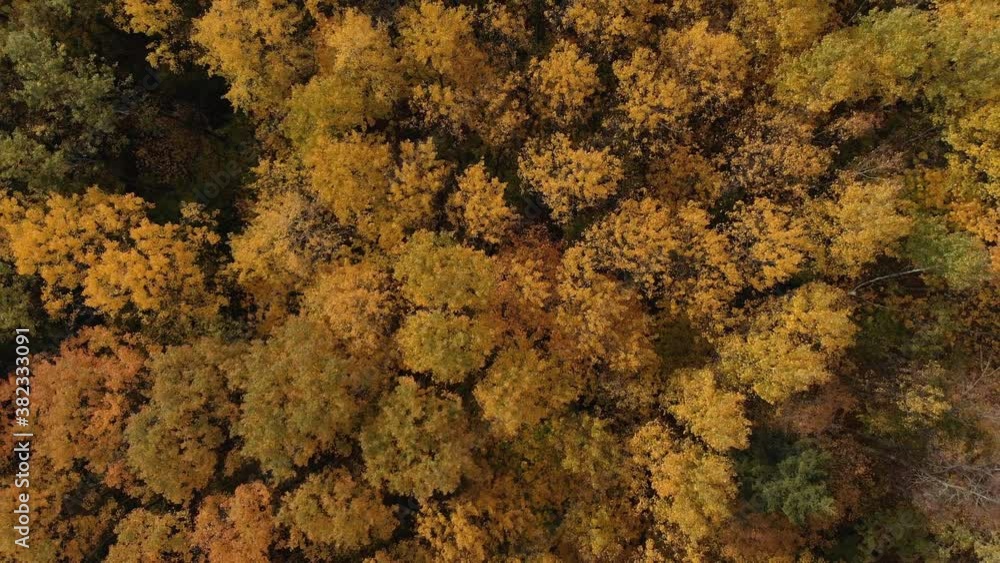 The camera takes off vertically above the autumn forest. Aerial view 4K The camera takes off vertically above the autumn forest. Aerial view 4K