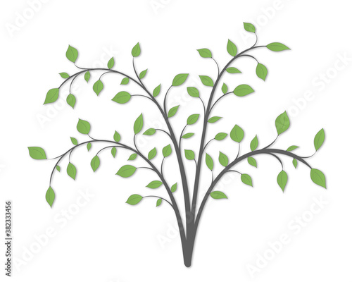 Illustration of a shrub plant with branches and green leaves on a white background