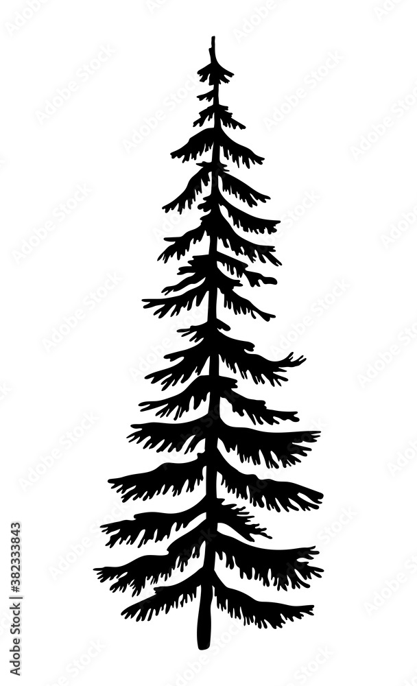 Fototapeta premium Black silhouette of fir-tree. Christmas tree. Simple tree icon. Nature concept. Black tree with needles isolated at white background. Decorative element. Plant shadow. Vector black illustration
