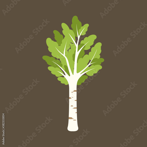 Birch tree cartoon vector illustration