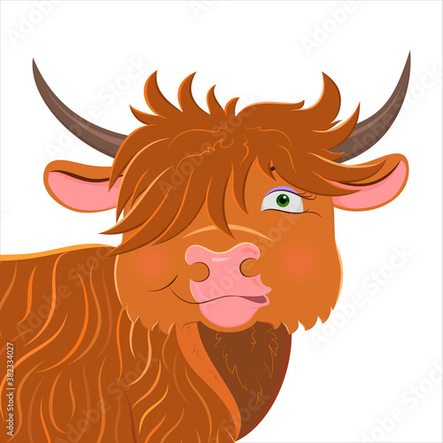 Cute cartoon Scottish longhaired bull. New year greeting card design