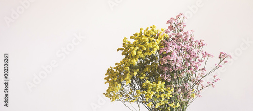 Dried pink and yellow flowers in white vase against white wall. Home interior autumn decor banner
