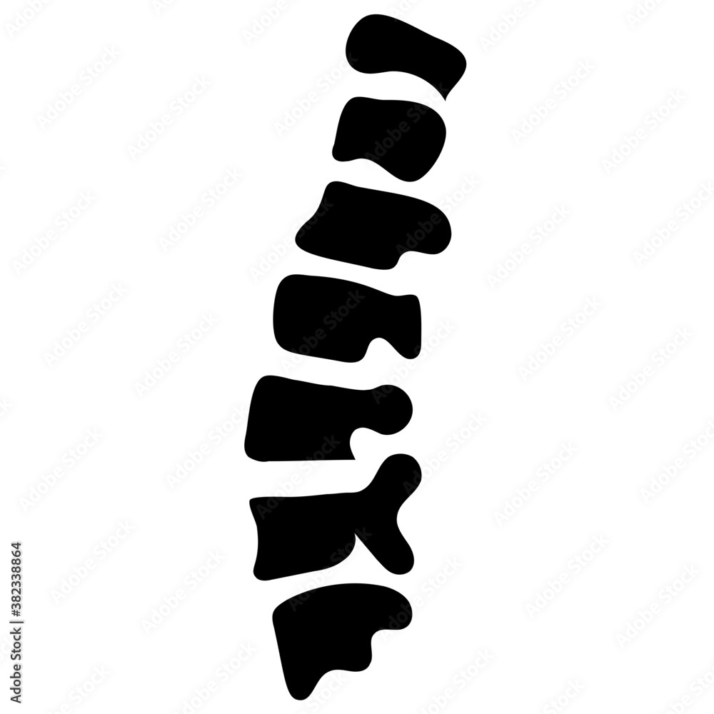 Solid icon of knee anatomy x ray
Solid icon of knee anatomy x ray