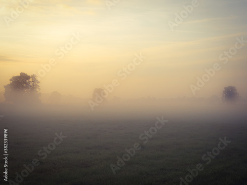 Fields  in the fog