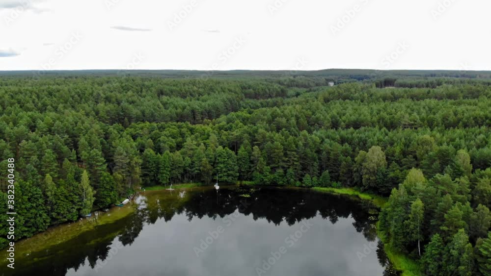 Picturesque Landscape Of Abundant Forest With Verdant Trees From The Calm Lake In Pradzonka, Gmina Studzienice, Poland. - aerial pullback shot Picturesque Landscape Of Abundant Forest With Verdant Trees From The Calm Lake In Pradzonka, Gmina Studzienice, Poland. - aerial pullback shot