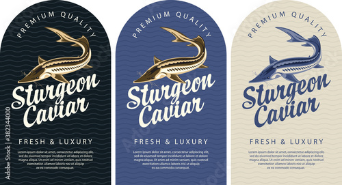 Set of labels for black sturgeon caviar with a sturgeon fish, calligraphic inscription and place for text on a background with waves. Vector labels, banners or stickers in retro style