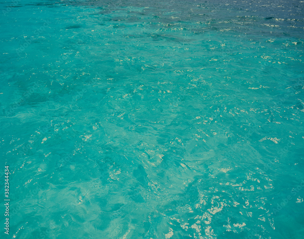 Obraz premium 自然バックグラウンド