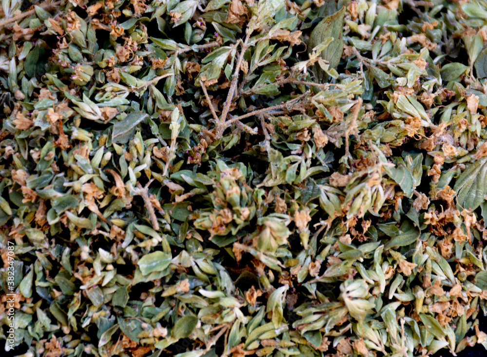 Close up of chopped oregano