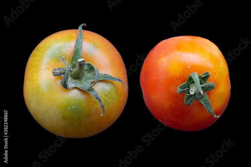 Obraz na płótnie Close up of tomatoes isolated on background w salonie