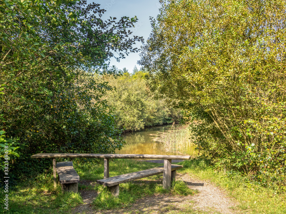 Fototapeta premium Pond in Meeth Quarry Nature Reserve, Devon, UK.