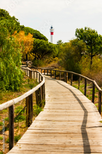 Obraz w ramie Paraje natural Marismas del Río Piedras y Flecha del Rompido, ciudad de Huelva