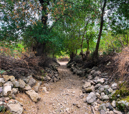 Mountain rural rocky path leading downhill between shrubs and trees in village of Lisitsite, Bulgaria