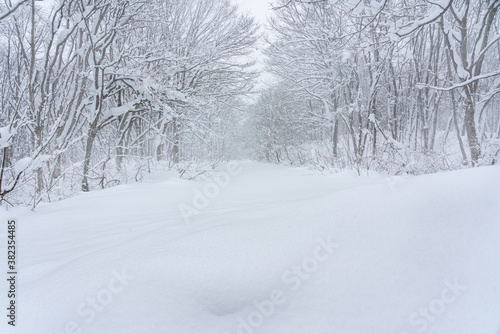 雪が積もった冬の山道 © tetsusan