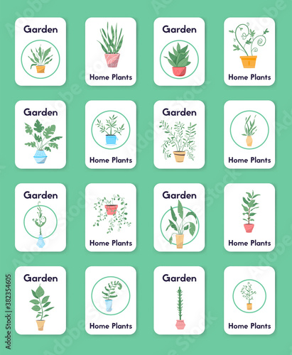 Potting trees, flowerpots hanging, plants in pots set isolated objects