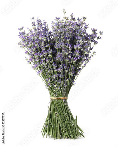 Bunch of beautiful lavender flowers on white background